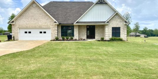 437 Carly Ln, Starkville, MS 39759